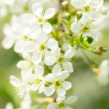 Kita und Kirchenvorplatz Crailsheim