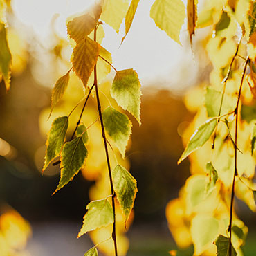 Realschule | Dortmund