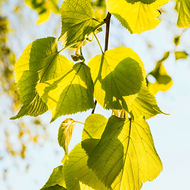Landratsamt | Göppingen