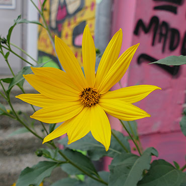 Altes Zollamt | Stuttgart