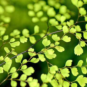 Anne-Frank Gesamtschule | Stuttgart